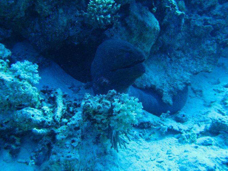 2009-12-05 14-33-42S.JPG